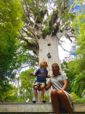 Neuseeland Reiseroute - Waipoua Forest